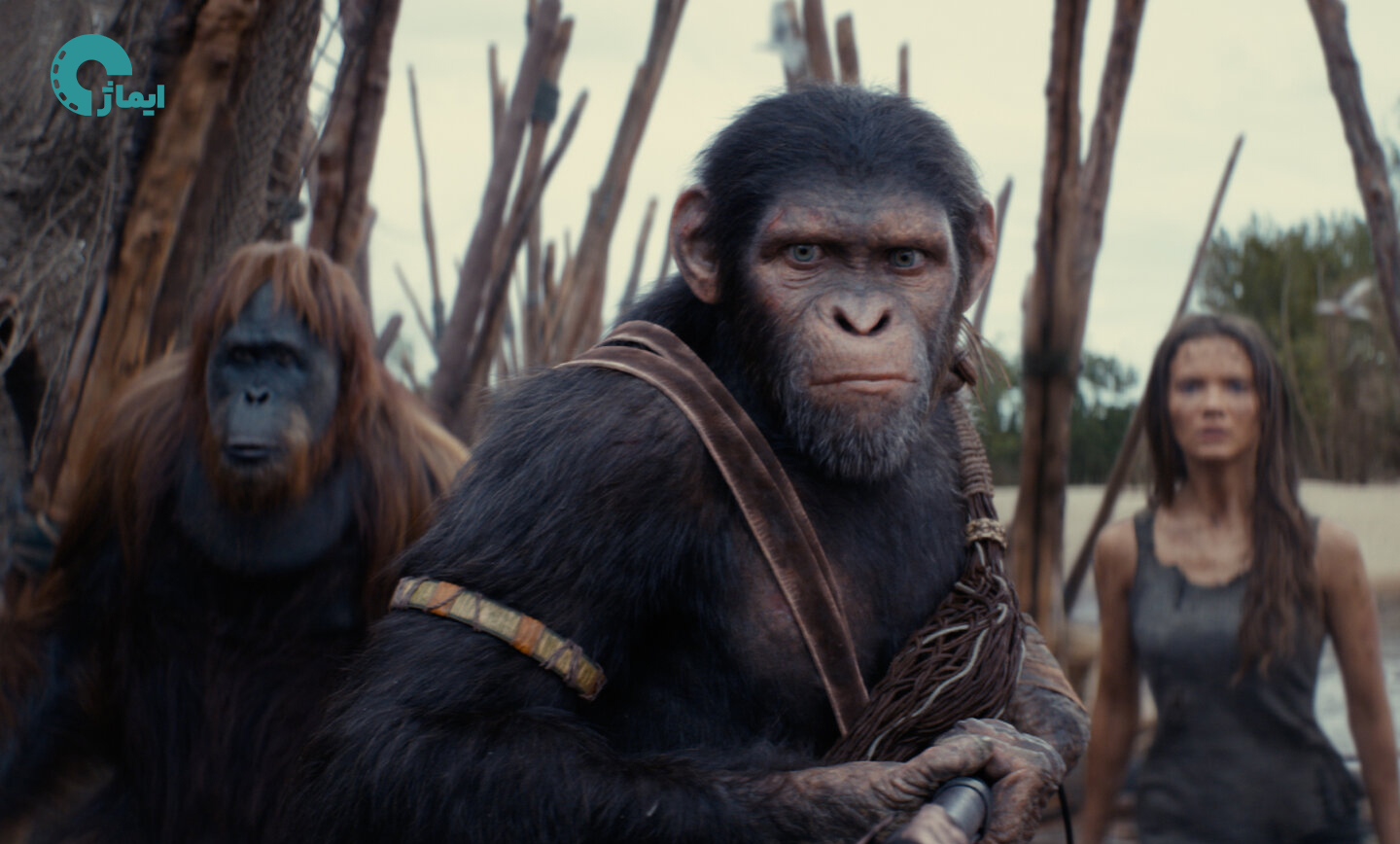 فیلم پادشاهی سیاره میمون‌ها (Kingdom of the Planet of the Apes)